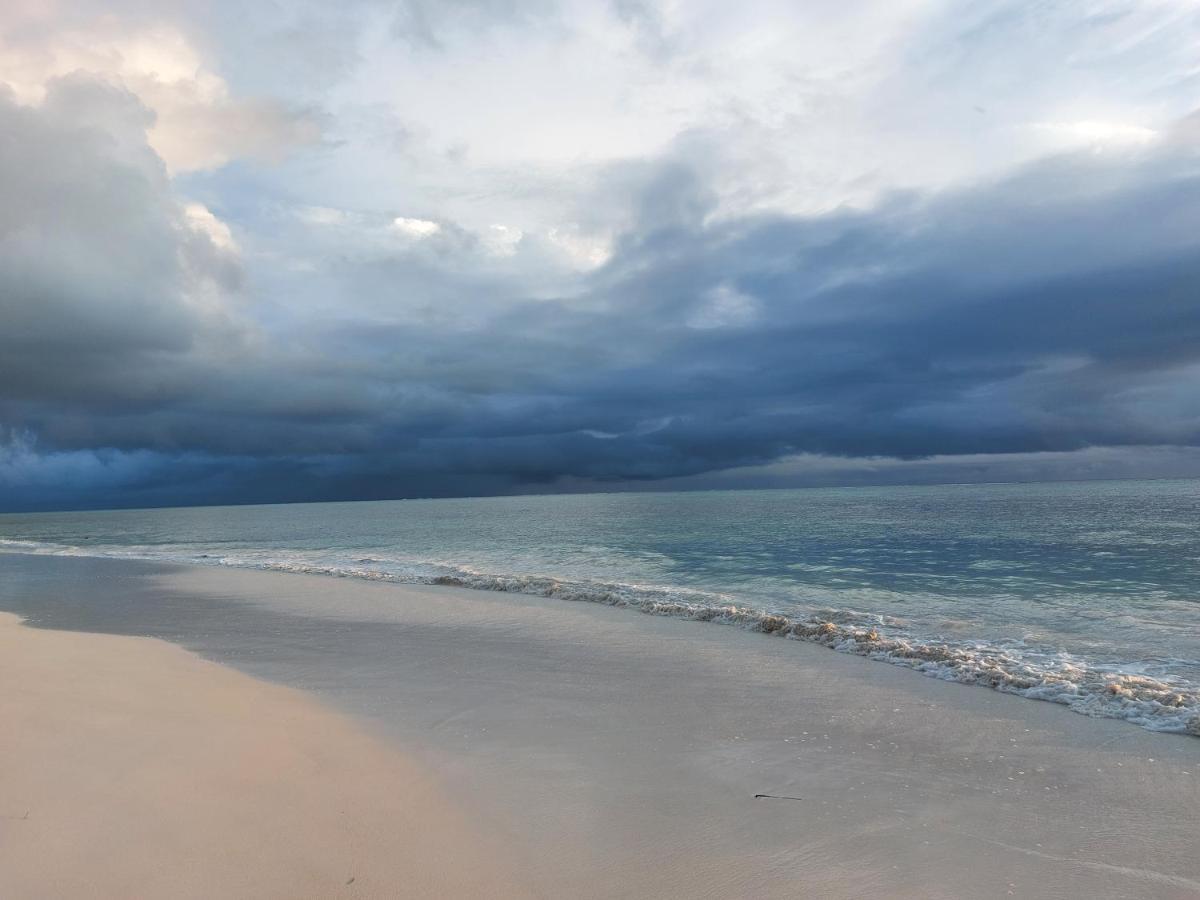 Appartement Blue Sky Self Catering à Grand Anse  Extérieur photo