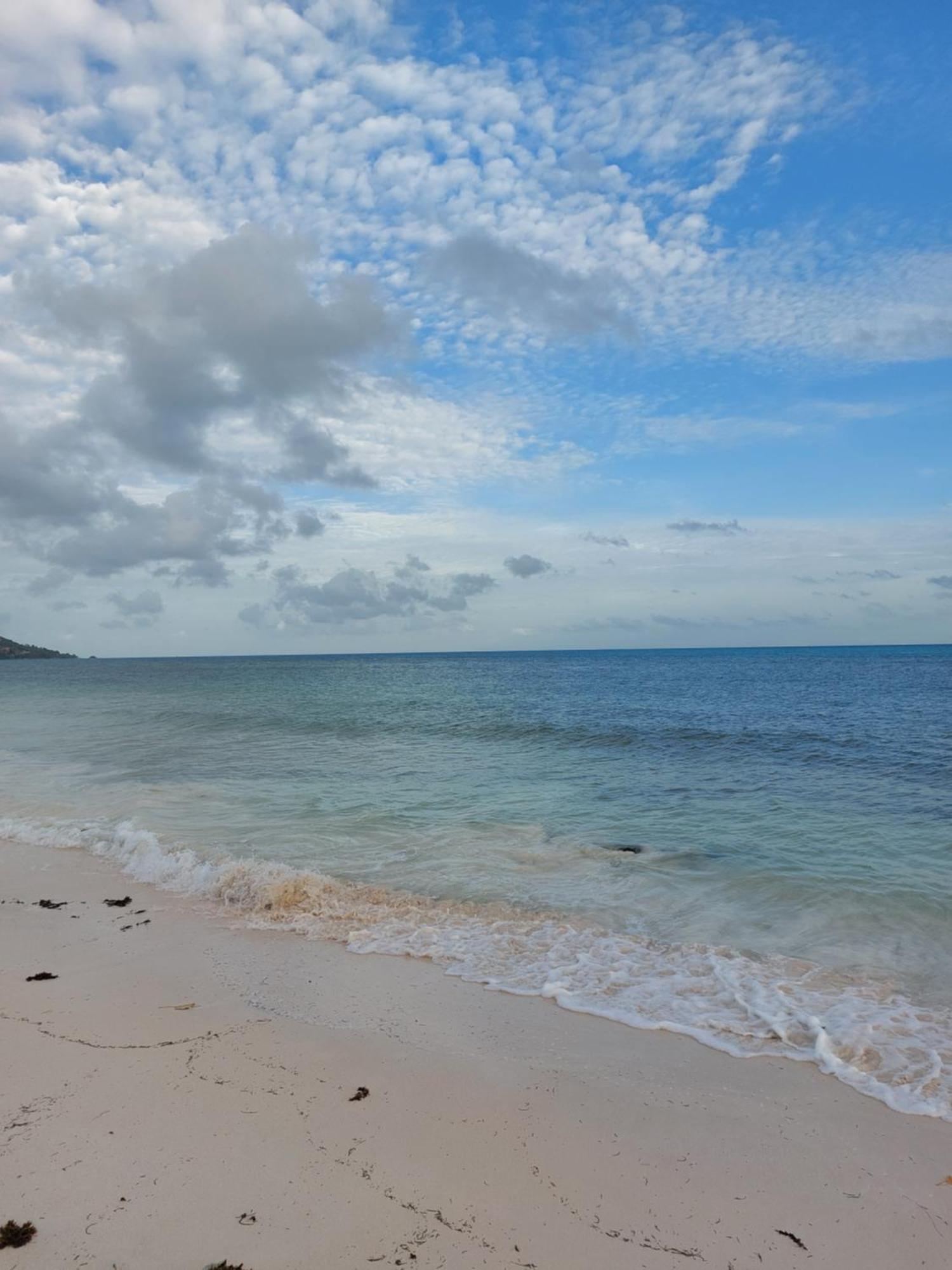 Appartement Blue Sky Self Catering à Grand Anse  Extérieur photo