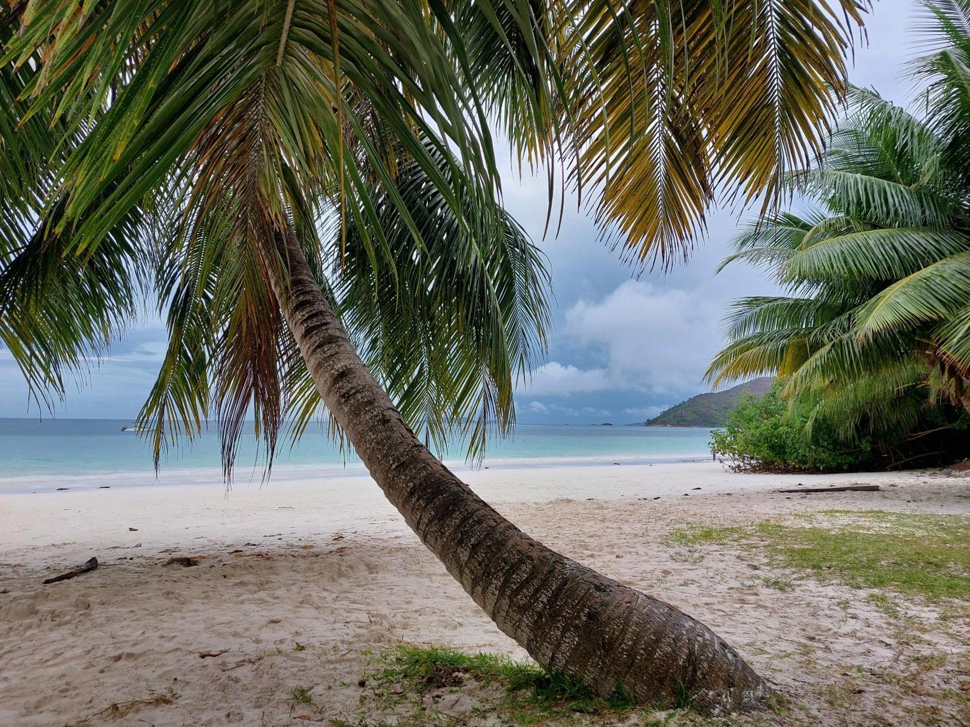 Appartement Blue Sky Self Catering à Grand Anse  Extérieur photo